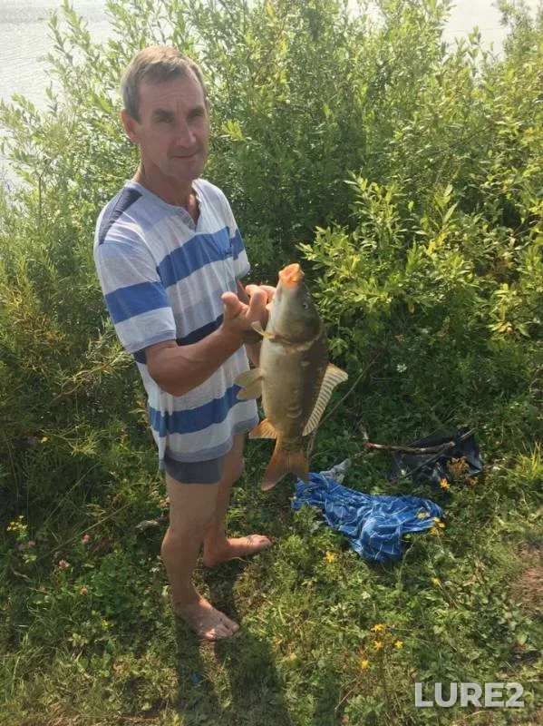 Карп