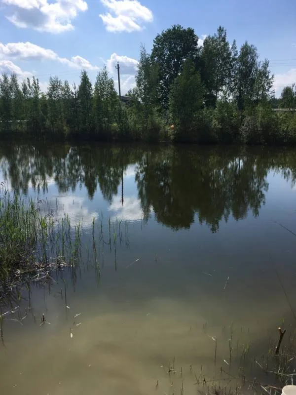 Карась, Линь
