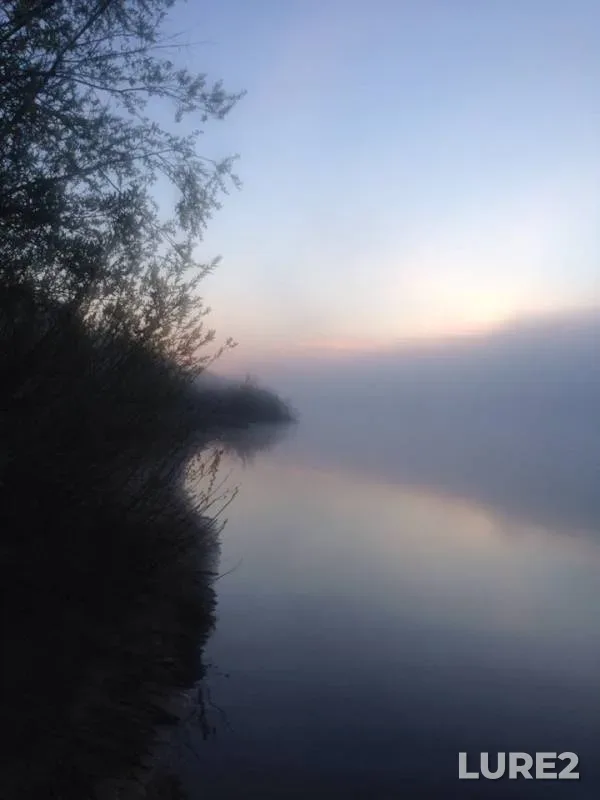 Лещ, Плотва