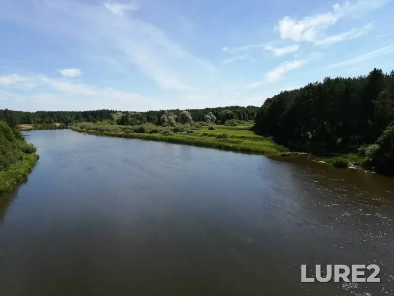 Голавль — Неман, 24 июн. 2019 г.