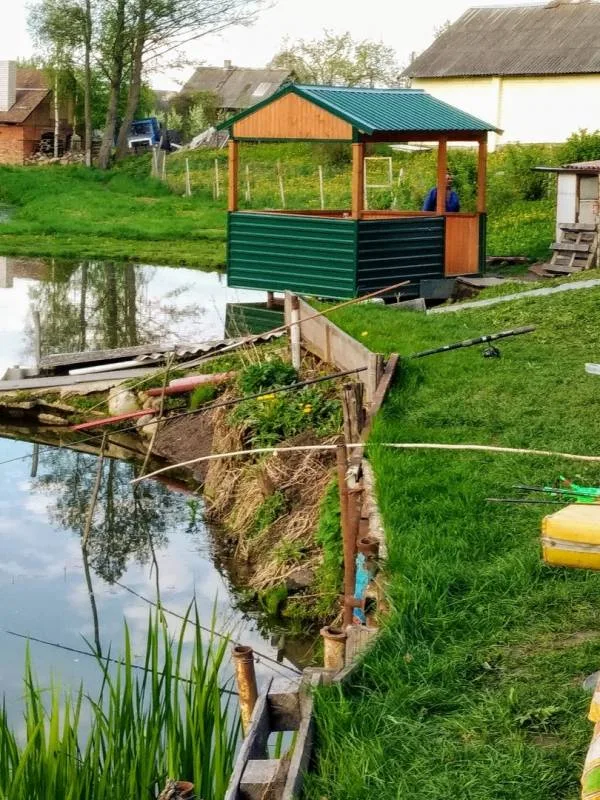 Карась, Плотва