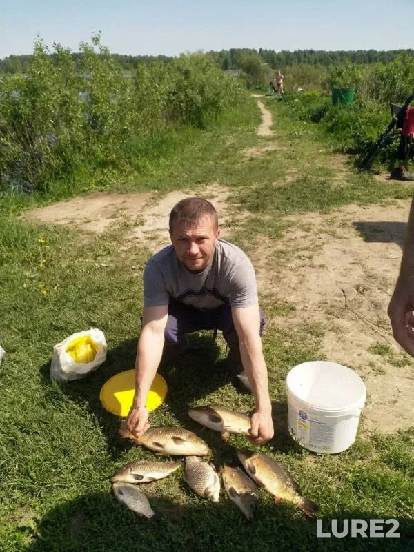 Карп