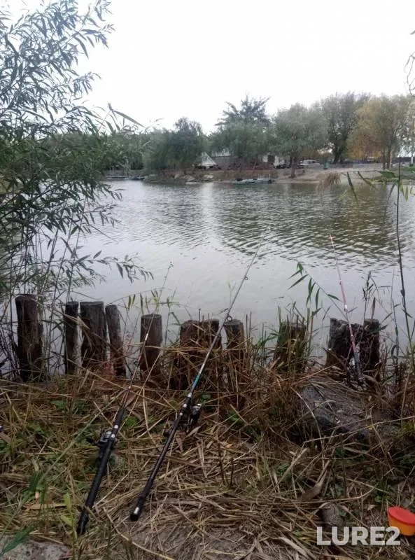 Карась
