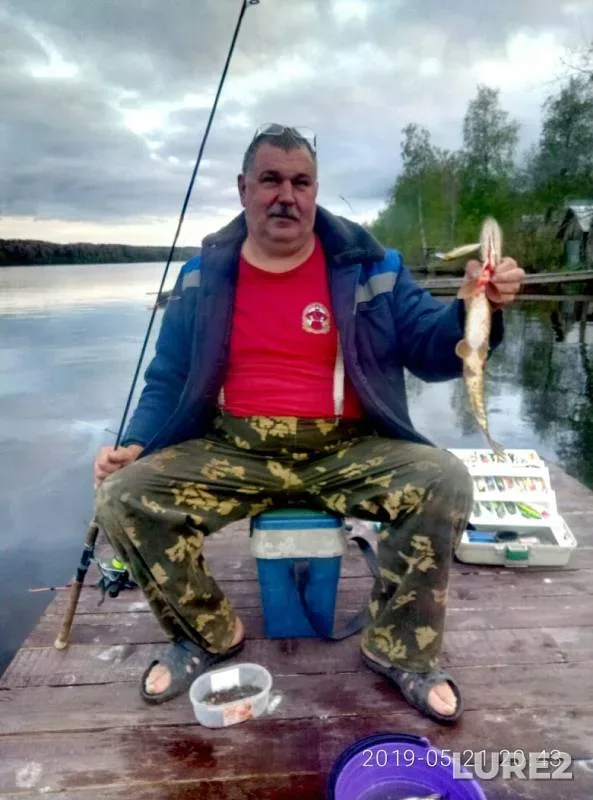 Щука