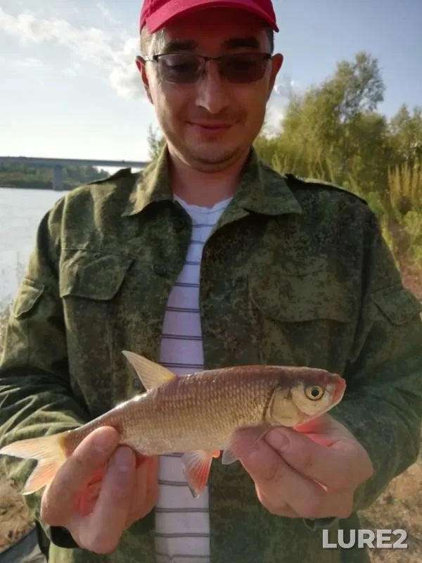 Голавль
