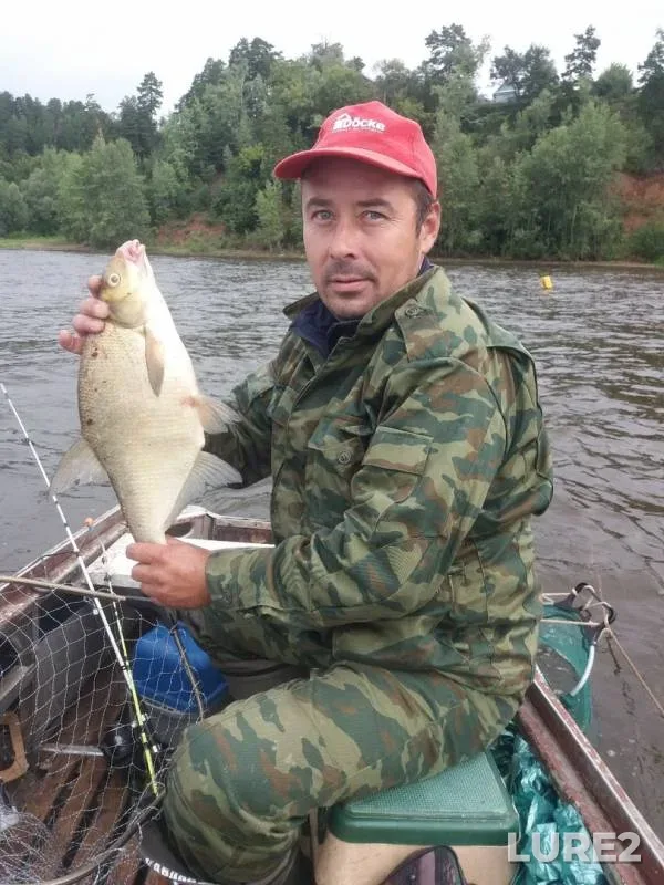 Лещ
