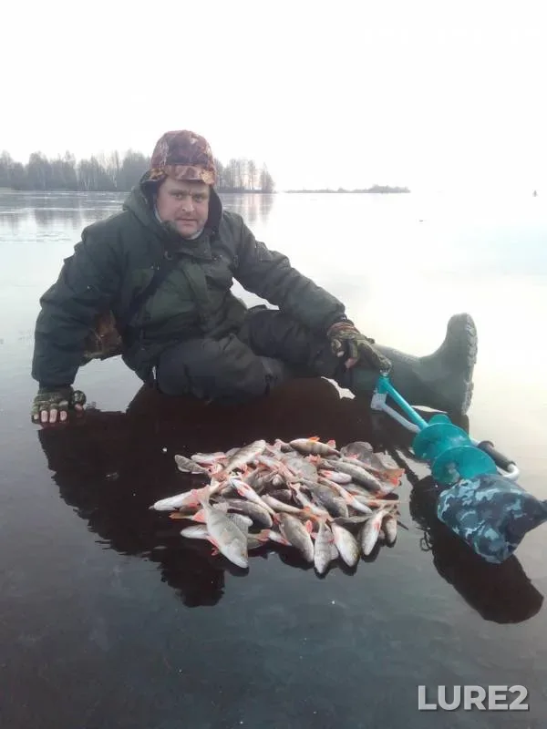 Окунь