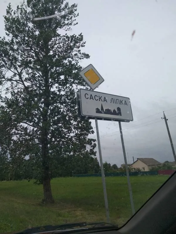 Карп, Карась