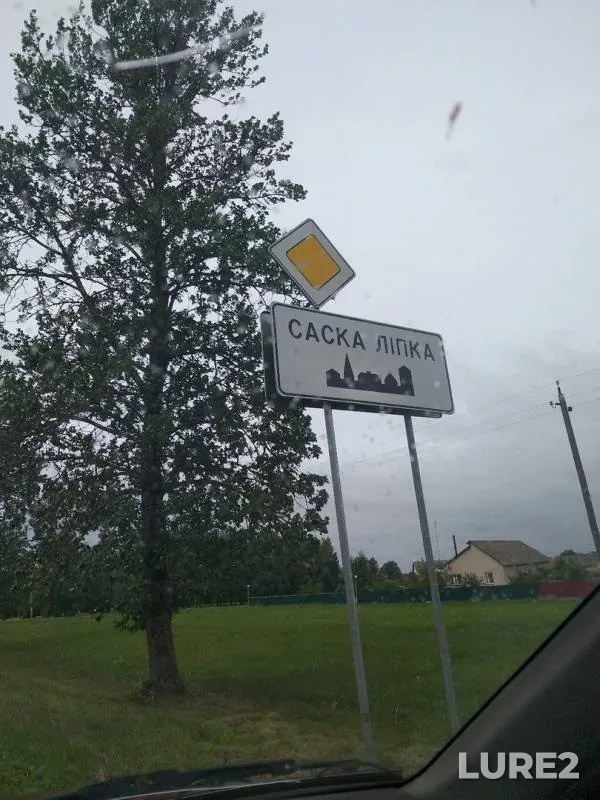 Карп, Карась