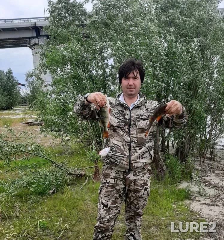 Окунь