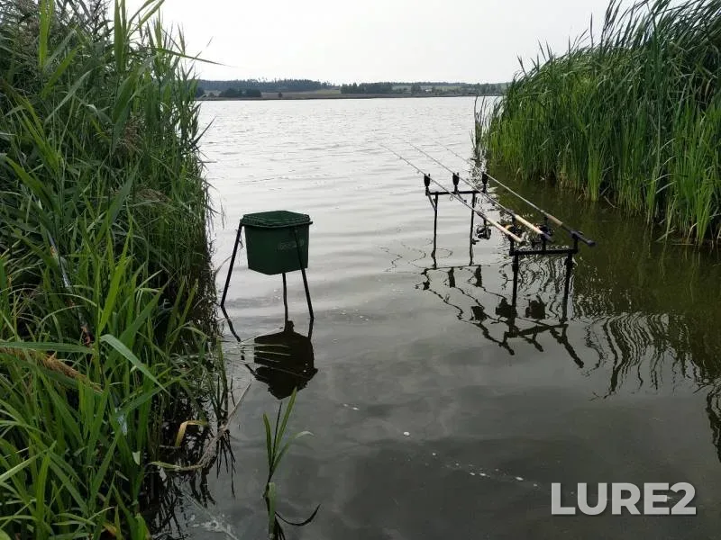 Карп — Индурка, 08 сент. 2019 г.