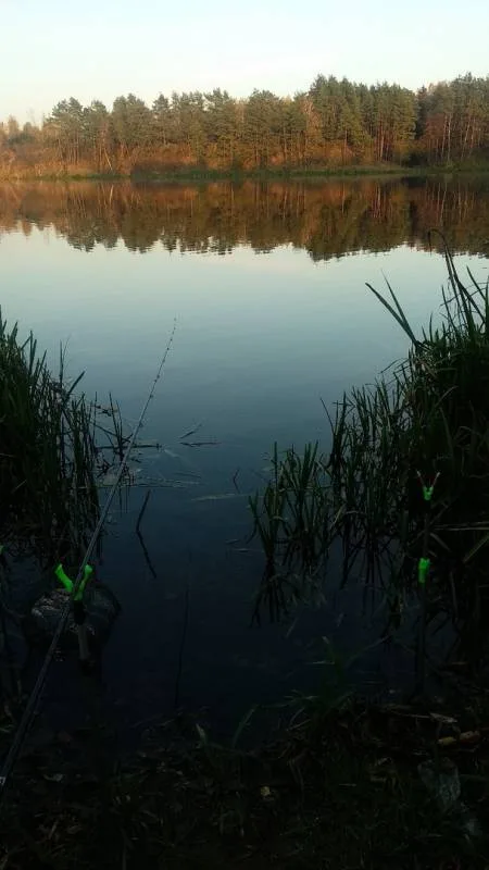 Лещ