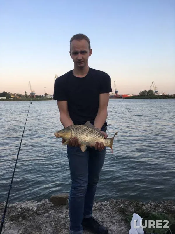 Карп