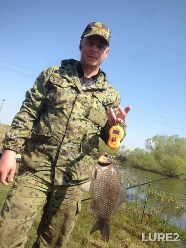 Карась — Минская область, Борисовский район, 27 апр. 2019 г.