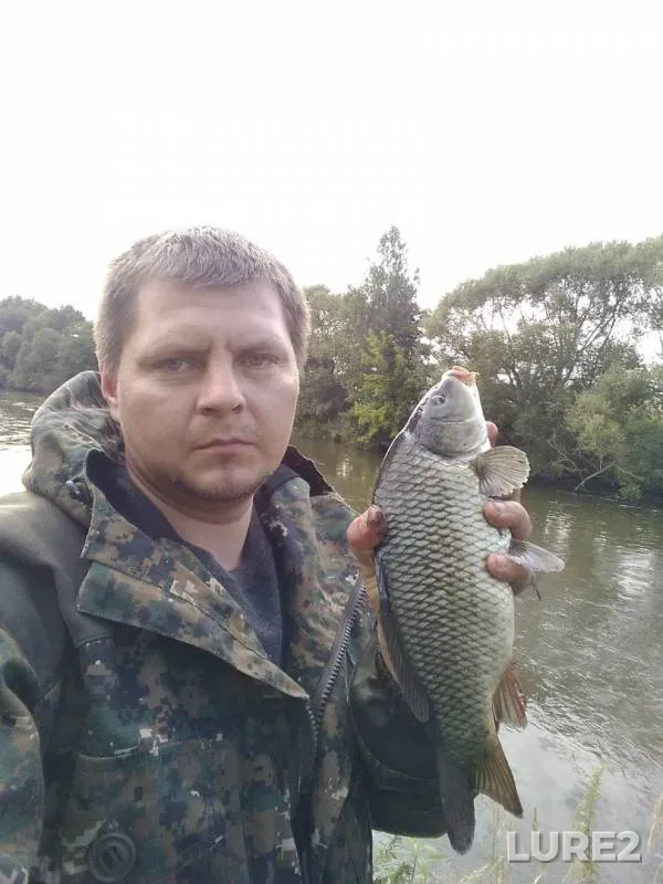 Карп, Сом — Свислочь, 02 авг. 2019 г.