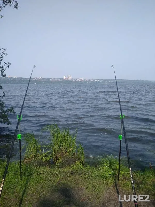 Лещ, Карась