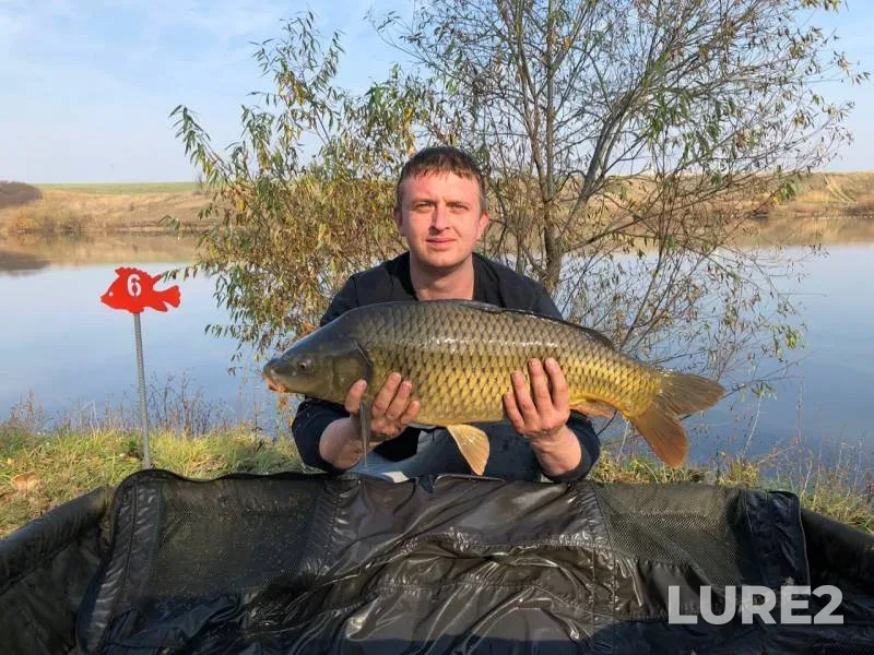 Карп