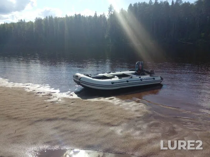 Окунь, Щука