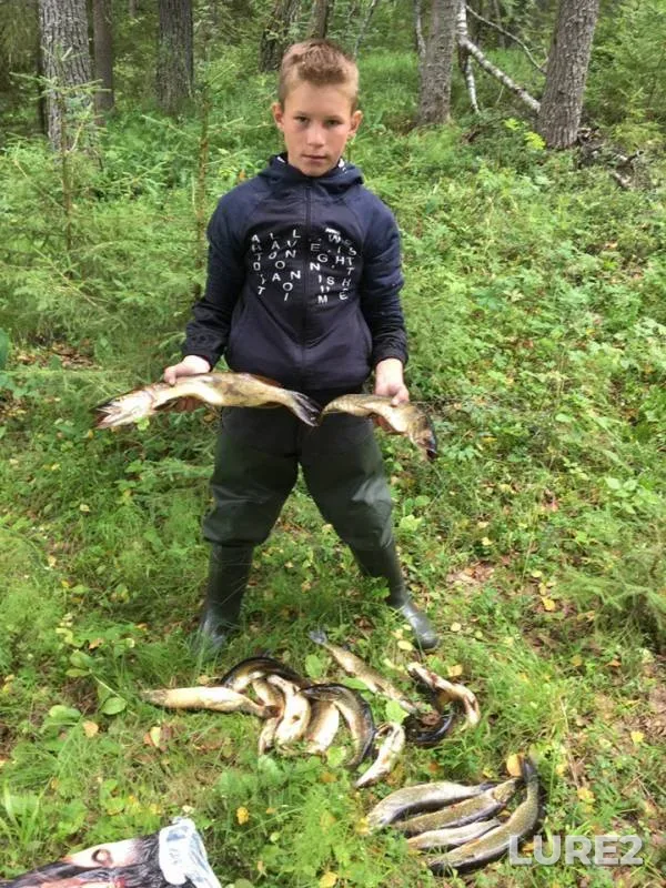 Щука
