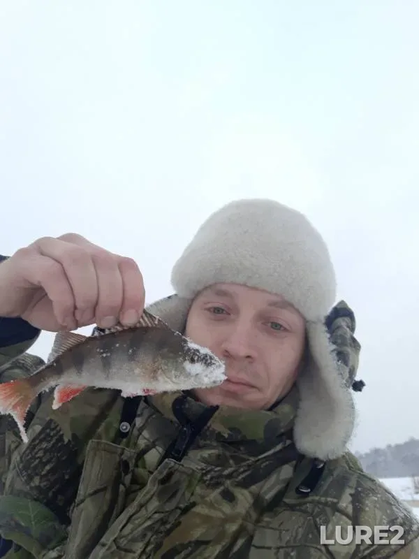 Окунь