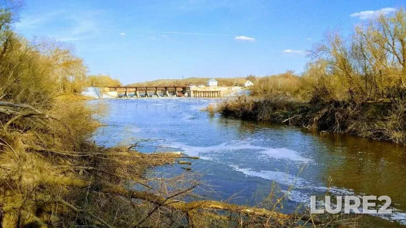 Карась