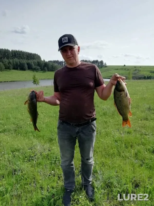 Карп