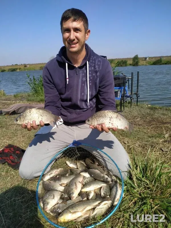 Карась
