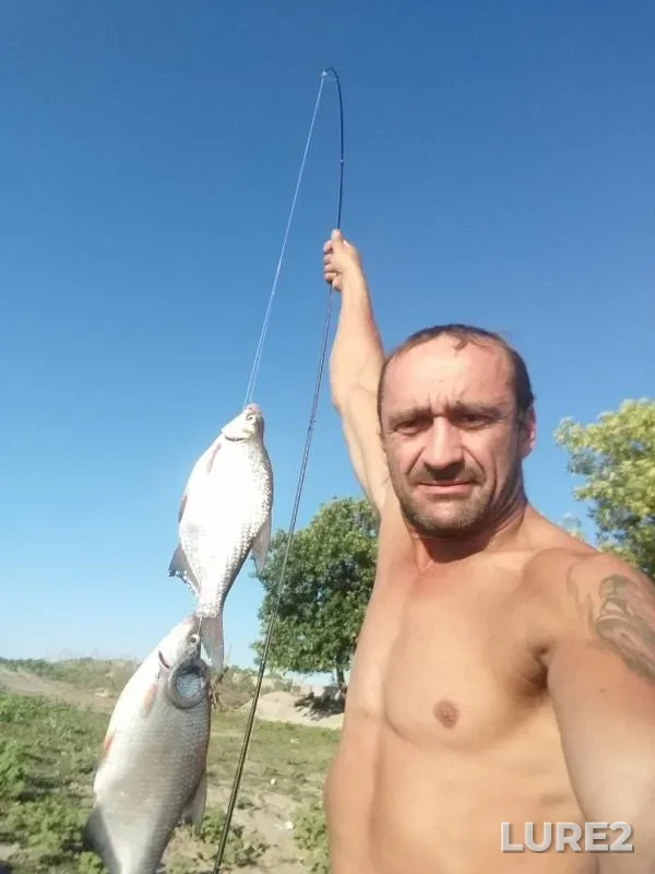 Лещ, Карась