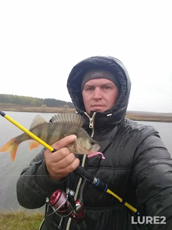 Окунь
