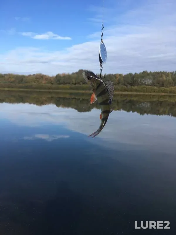 Окунь