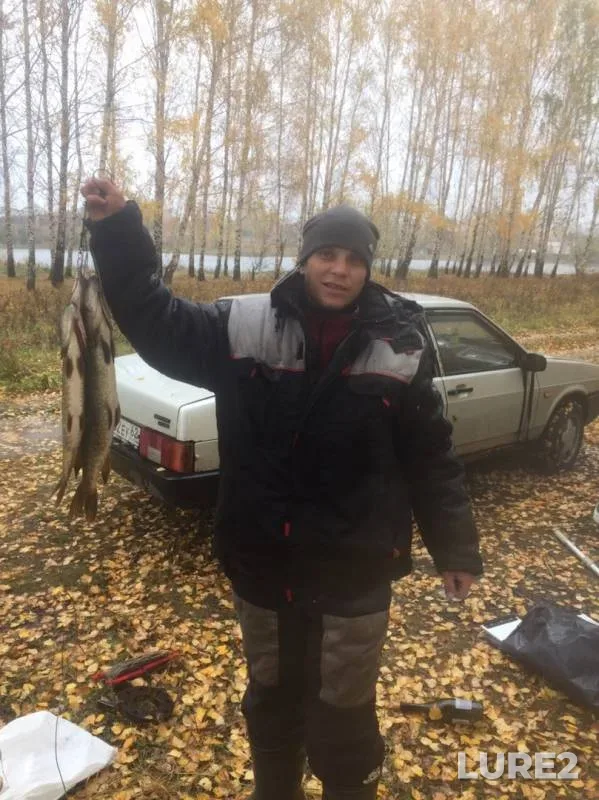 Щука