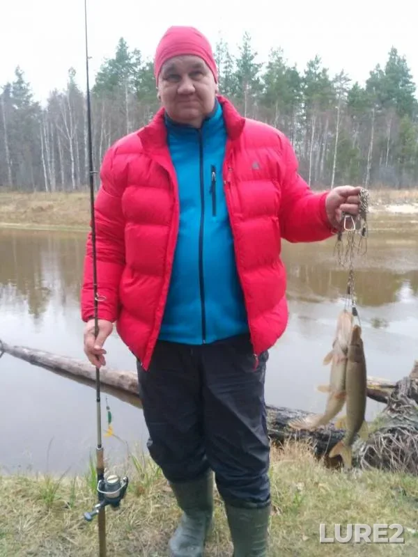 Щука