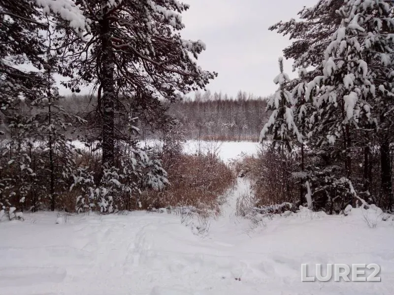 Окунь, Щука — Пая, 25 нояб. 2018 г.