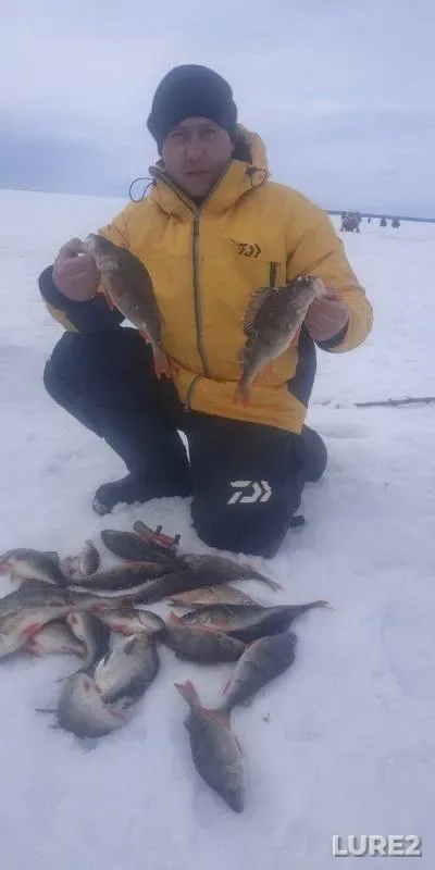 Окунь
