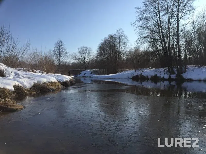 Окунь