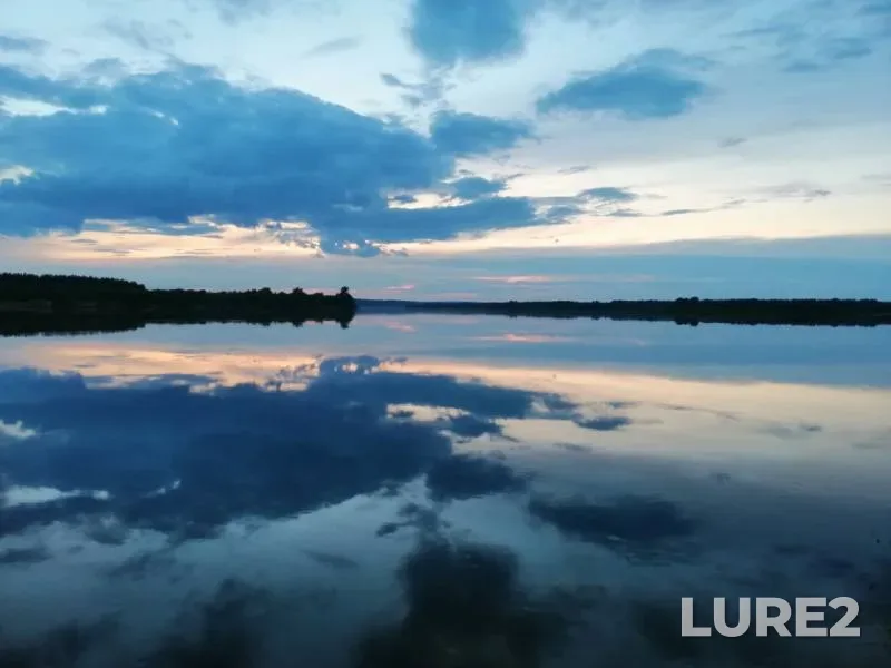 Окунь