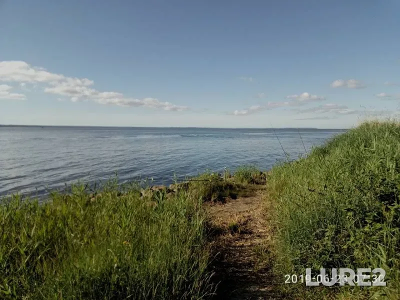 Лещ — Калининградская область, 26 июн. 2019 г.