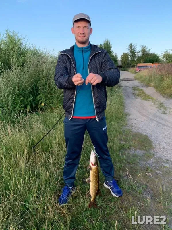 Щука