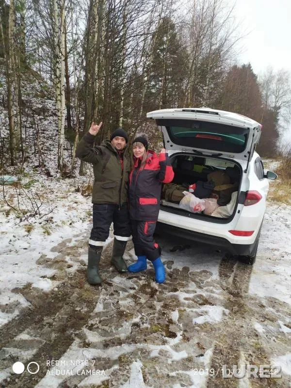 Налим