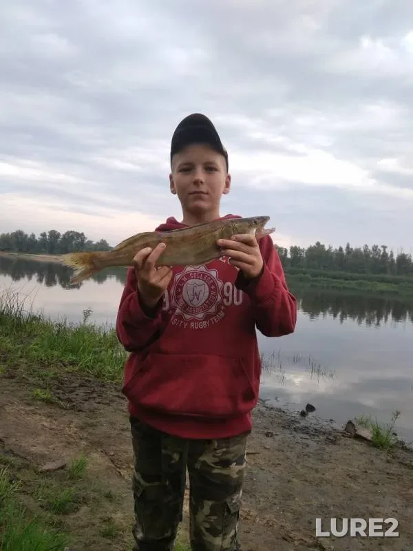 Лещ, Судак — Закованка, 14 авг. 2019 г.