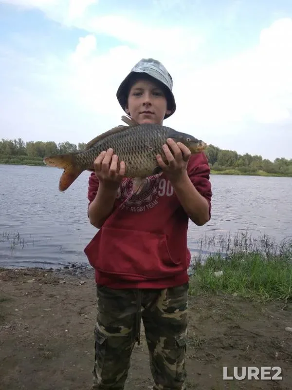 Карп — Закованка, 15 авг. 2019 г.