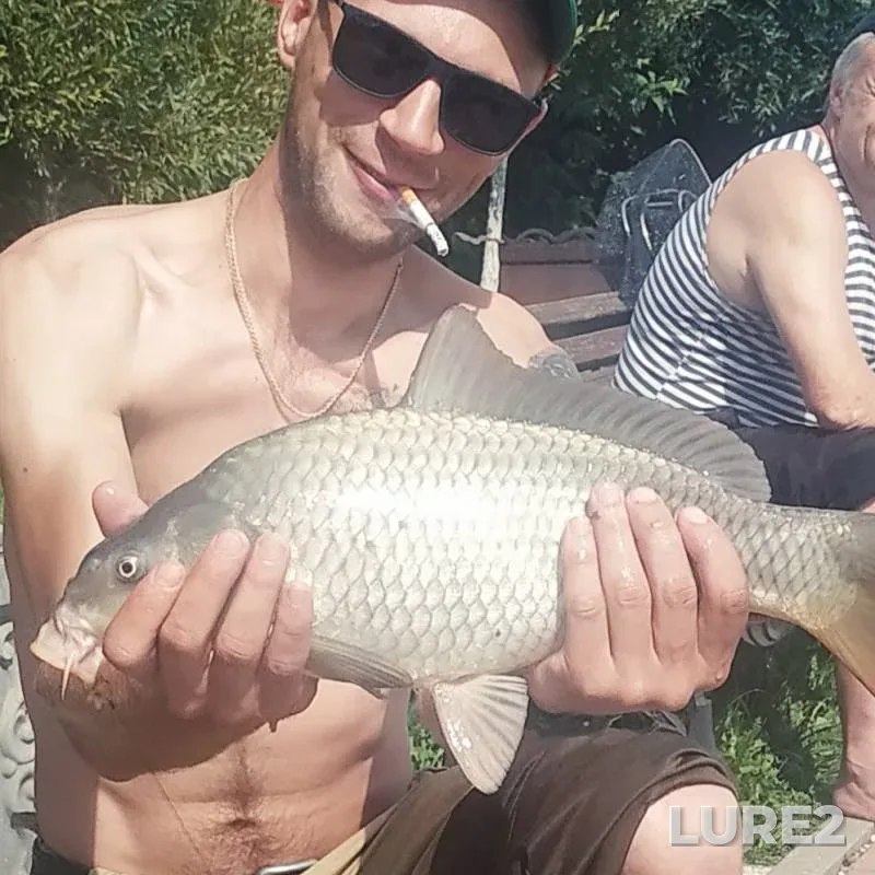 Карп — Вяча, 16 авг. 2019 г.