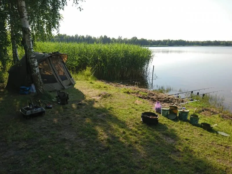 Карп