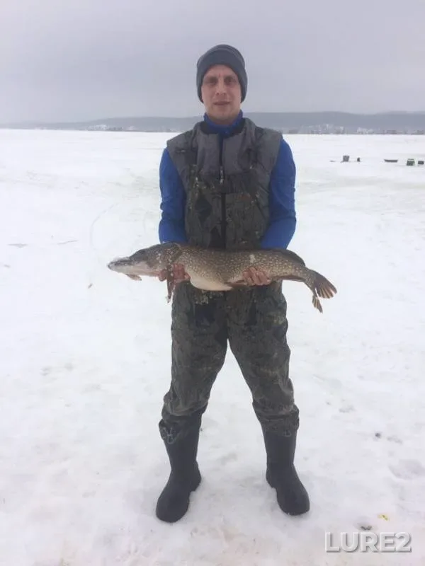 Щука — Ольховое, 11 мар. 2019 г.