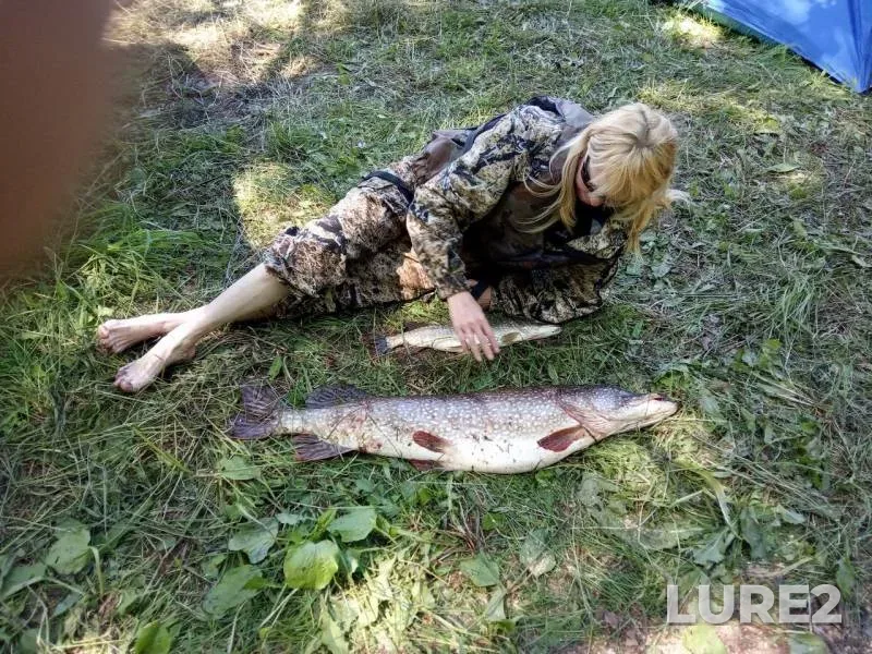 Щука — Нижнекамское, 10 июн. 2019 г.