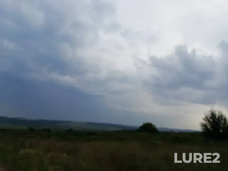 Окунь