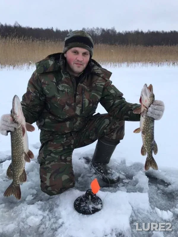 Щука — Оболе, 25 дек. 2018 г.