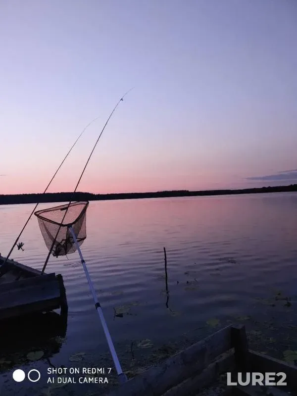 Лещ, Карась — Свислочь, 05 авг. 2019 г.