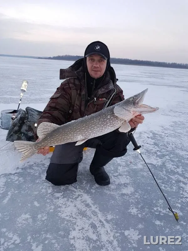 Щука — Морочь, 07 февр. 2019 г.