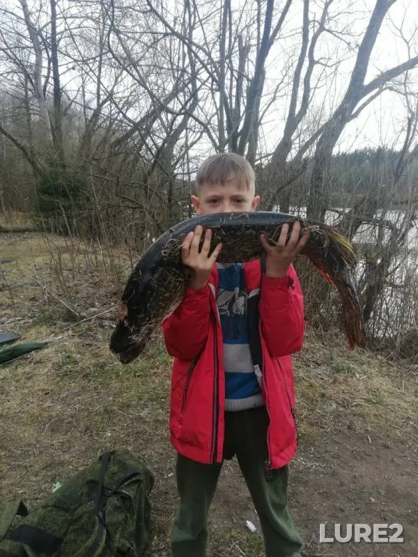 Щука — Вяча, 21 апр. 2019 г.
